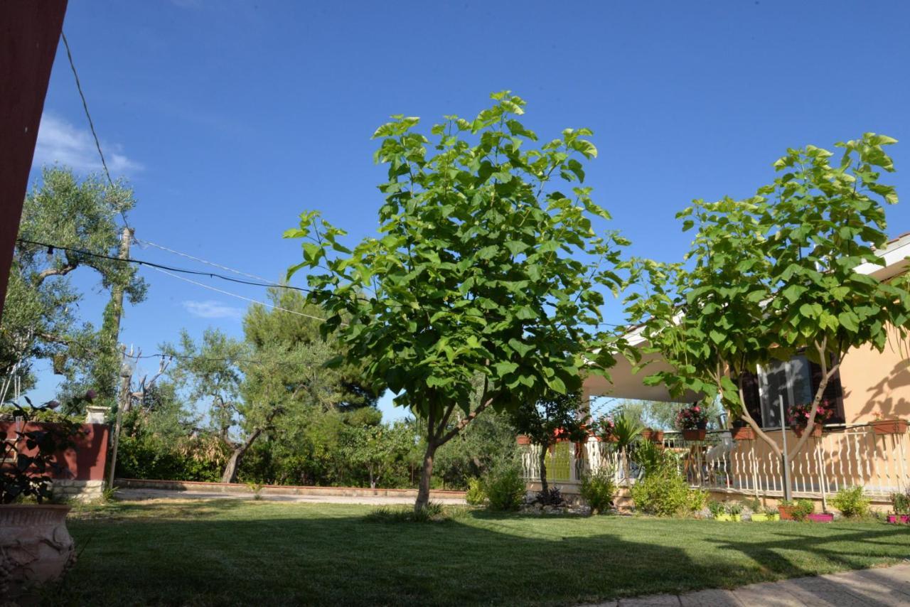 B&B Lara Santola Corato Exterior photo